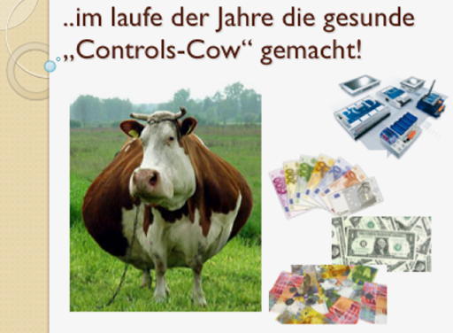 cow_2_512